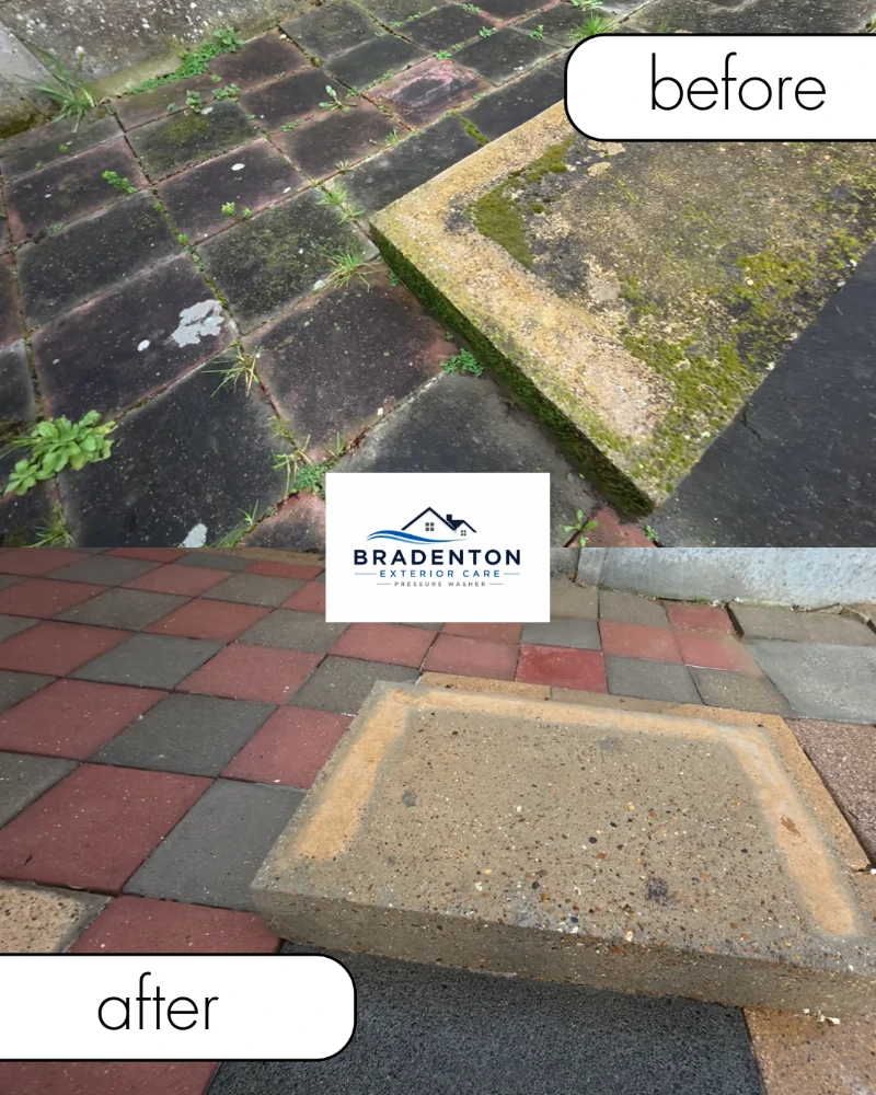 Before and after pressure washing result 3