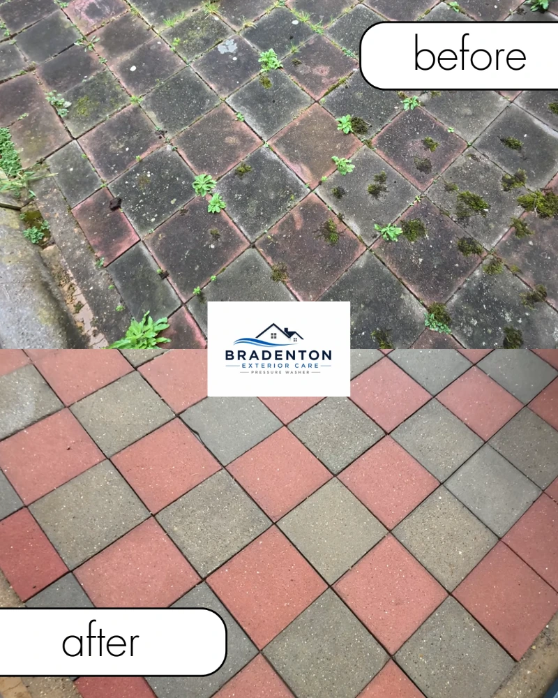 Before and after pressure washing result 1